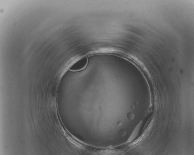 X0000068841425200605121355