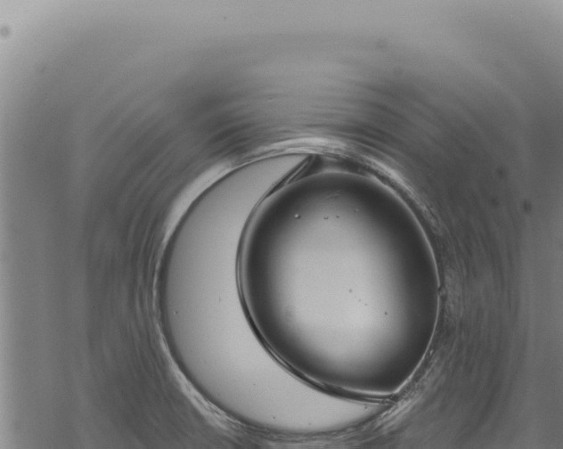 X0000068841426200605121355