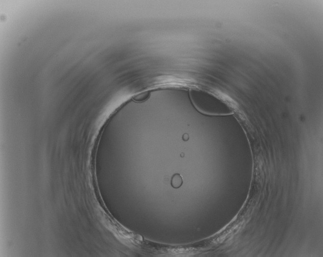 X0000068841427200605121355