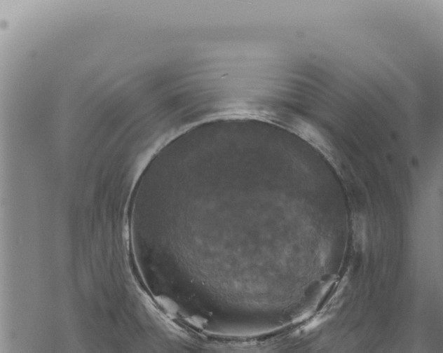 X0000068841428200605121355