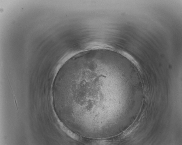 X0000068841431200605121355