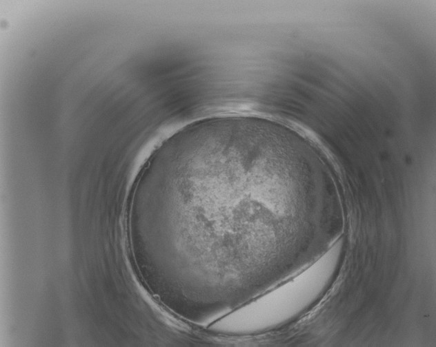 X0000068841432200605121355