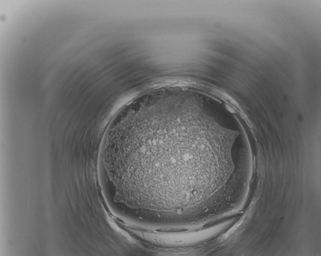 X0000068841433200605121355