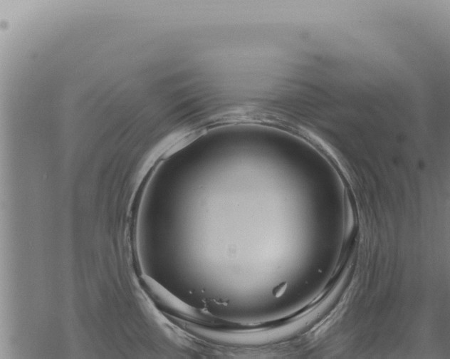 X0000068841434200605121355