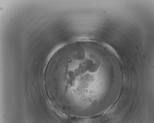 X0000068841435200605121355