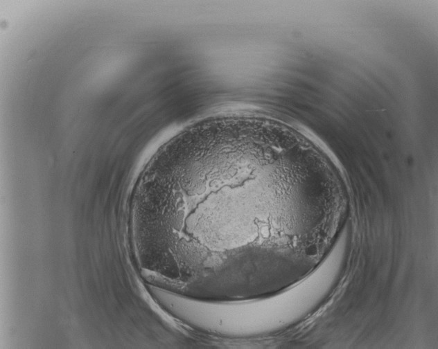 X0000068841437200605121355