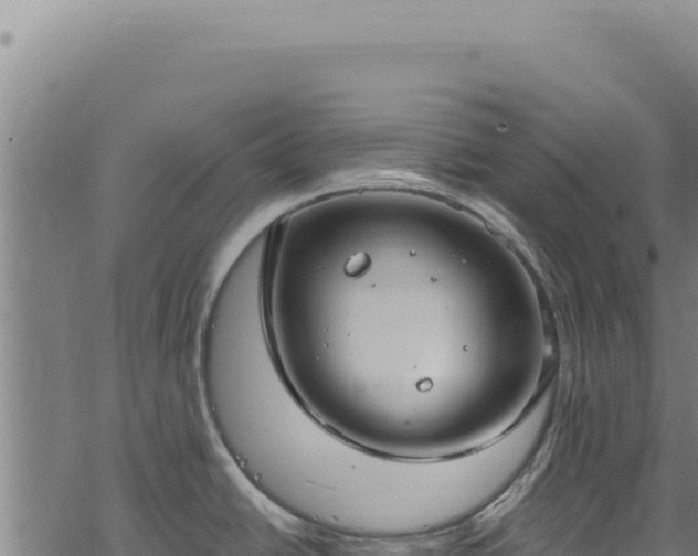 X0000068841438200605121355