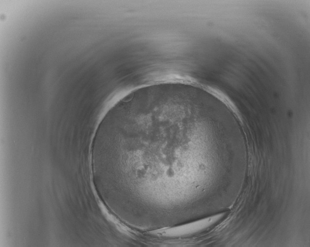 X0000068841439200605121355