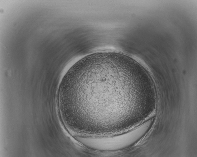 X0000068841440200605121355