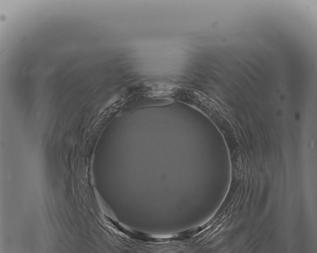 X0000068841441200605121354