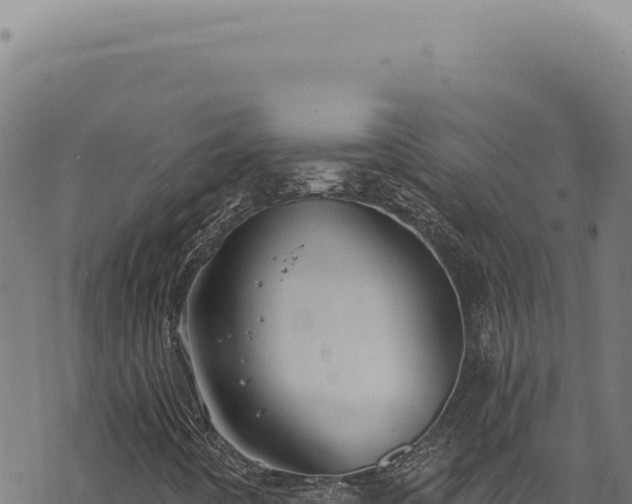 X0000068841442200605121354