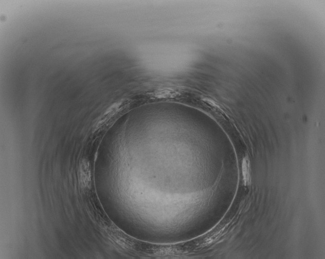 X0000068841443200605121354