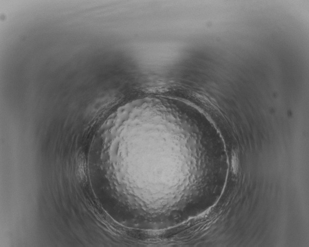 X0000068841444200605121354