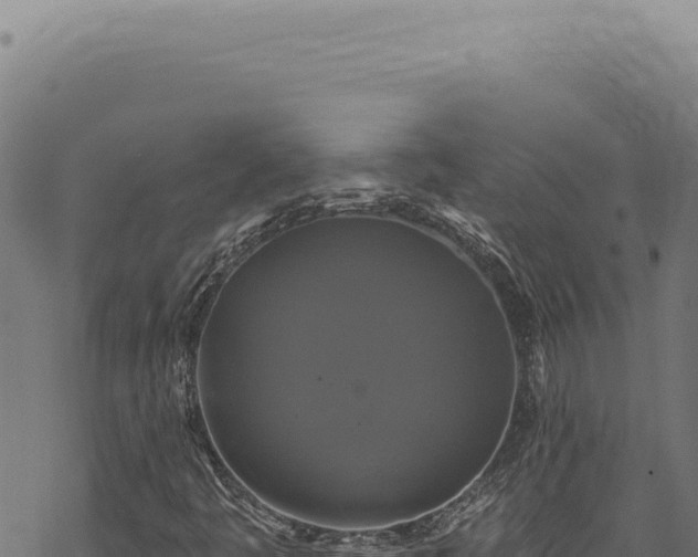 X0000068841445200605121354