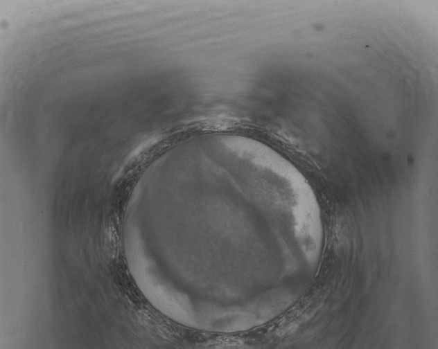 X0000068841446200605121354