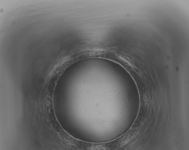 X0000068841447200605121354