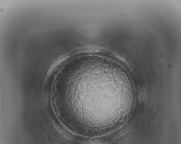 X0000068841448200605121354