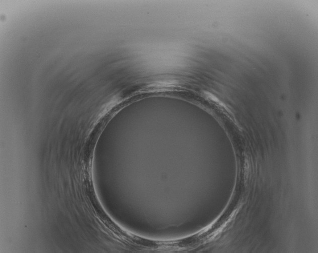 X0000068841449200605121354