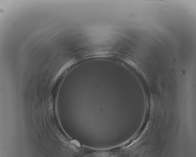 X0000068841450200605121354