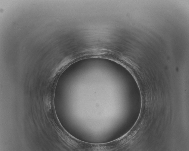 X0000068841451200605121354