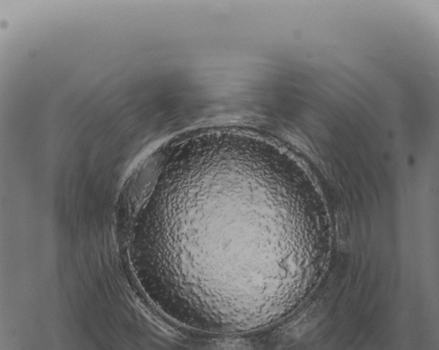 X0000068841452200605121354