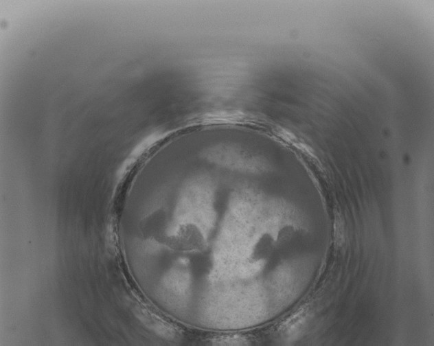 X0000068841454200605121354