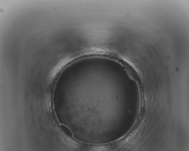 X0000068841455200605121354