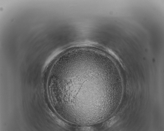 X0000068841456200605121354