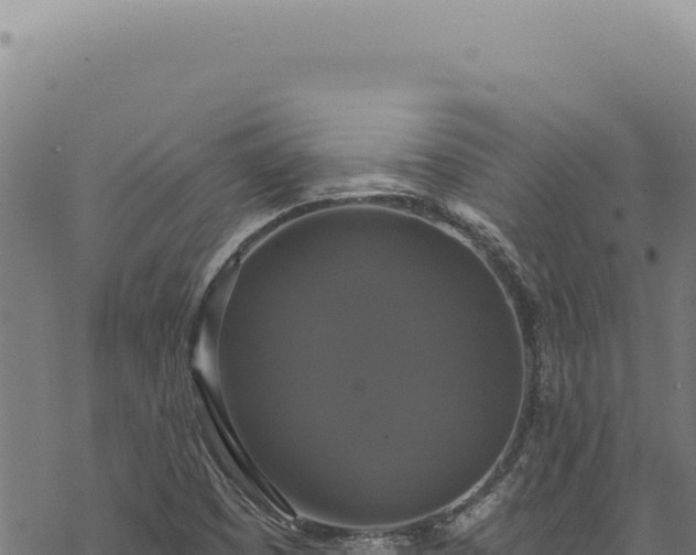 X0000068841457200605121354