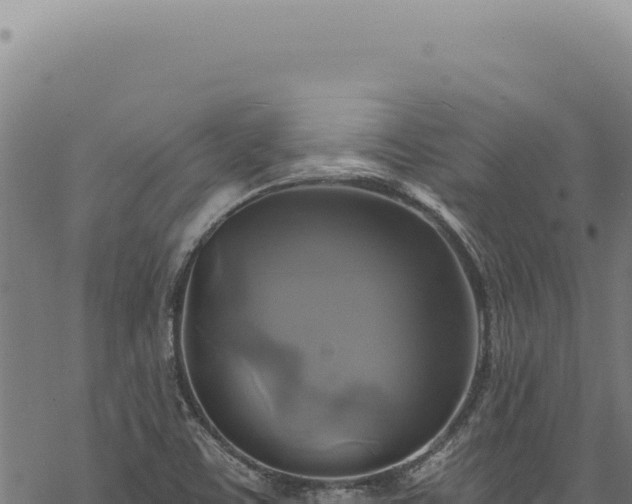 X0000068841459200605121354