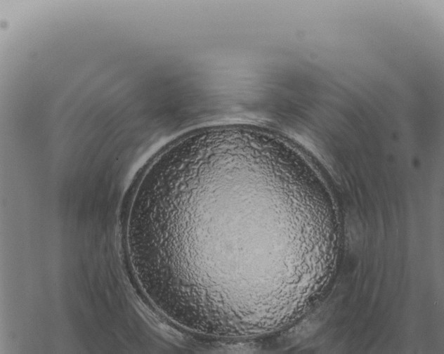 X0000068841460200605121354