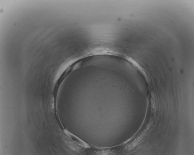 X0000068841461200605121354