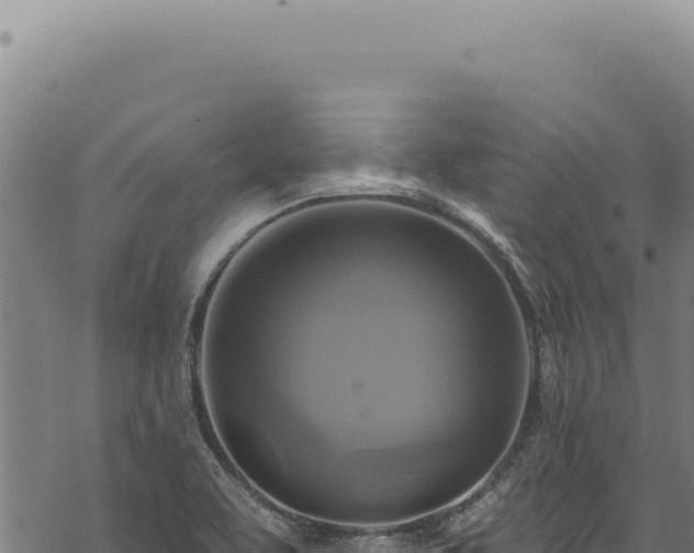 X0000068841463200605121354