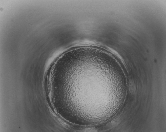 X0000068841464200605121354