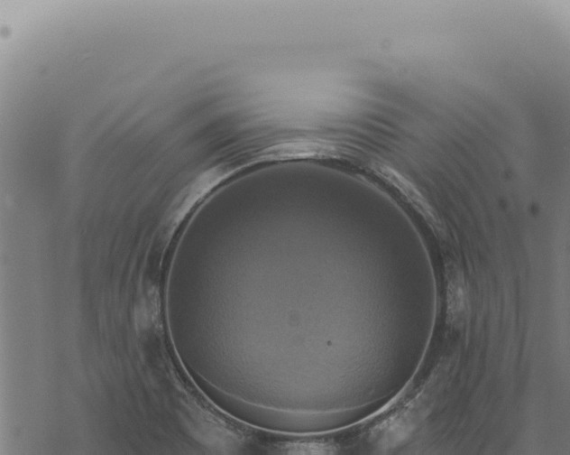 X0000068841465200605121354