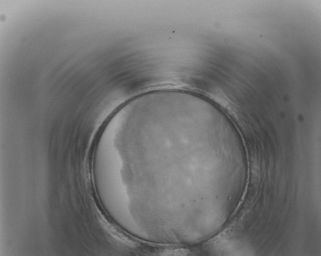 X0000068841466200605121354