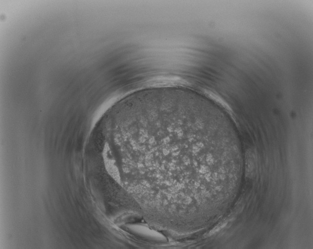 X0000068841467200605121354