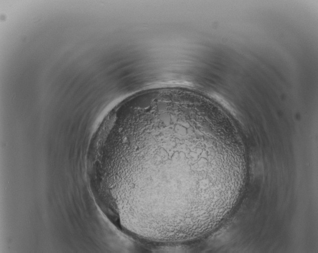 X0000068841468200605121354