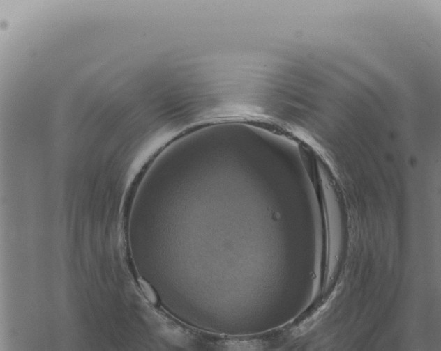 X0000068841469200605121354