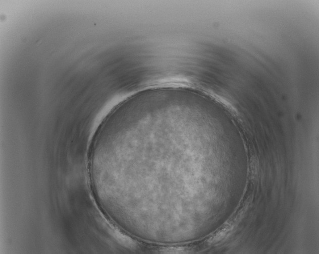 X0000068841470200605121354