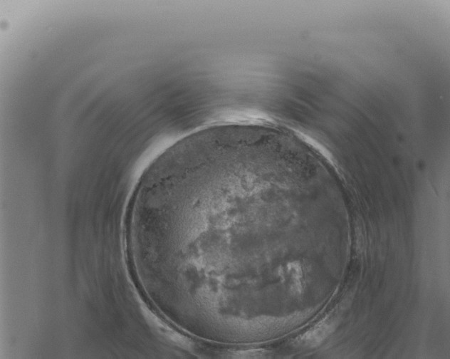 X0000068841471200605121354