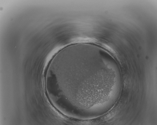 X0000068841472200605121354