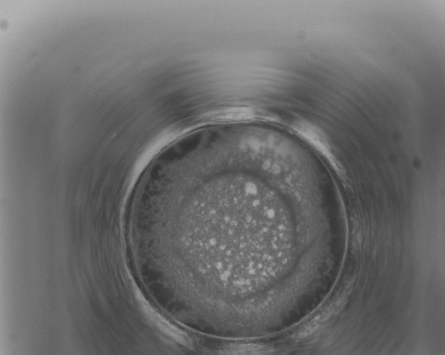 X0000068841475200605121354