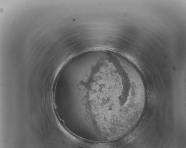 X0000068841476200605121354