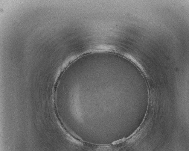 X0000068841477200605121354