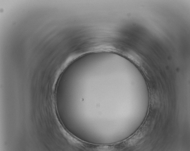 X0000068841478200605121354