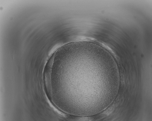 X0000068841479200605121354