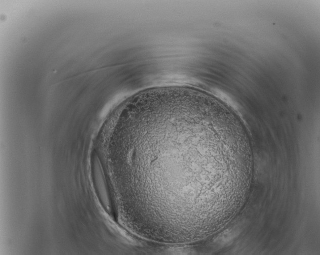 X0000068841480200605121354