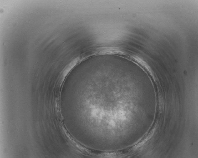 X0000068841481200605121354