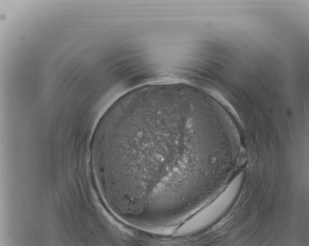 X0000068841484200605121354